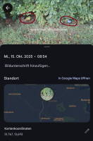 Foto: illegale wilde Entsorgung 